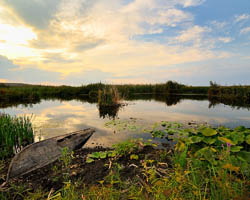 Delta Dunarii World travel group