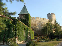 Romania World Travel Group